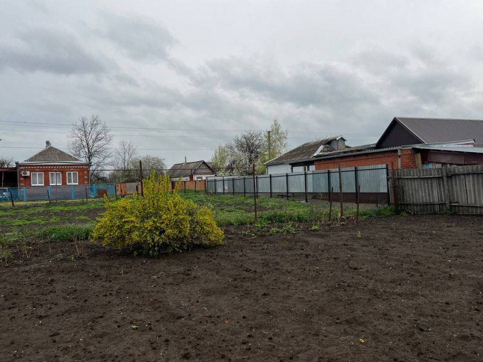 Когда сажать, а когда подождать: Лунный календарь для огородников на май 2025 года