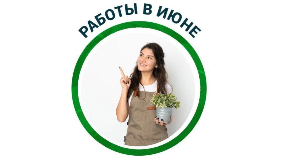   :       
