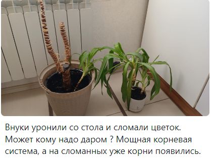   :      