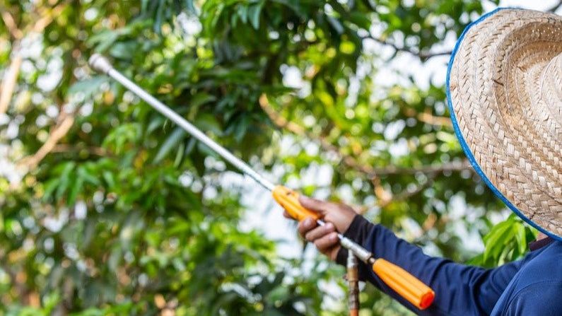 Непревзойдённый защитник сада