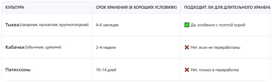 Секреты хранения тыквы, кабачков и патиссонов без погреба