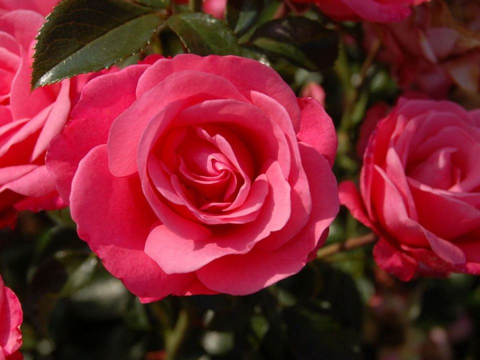 ��� �������������� ���� ����� ������� ���������� � ��������� ������