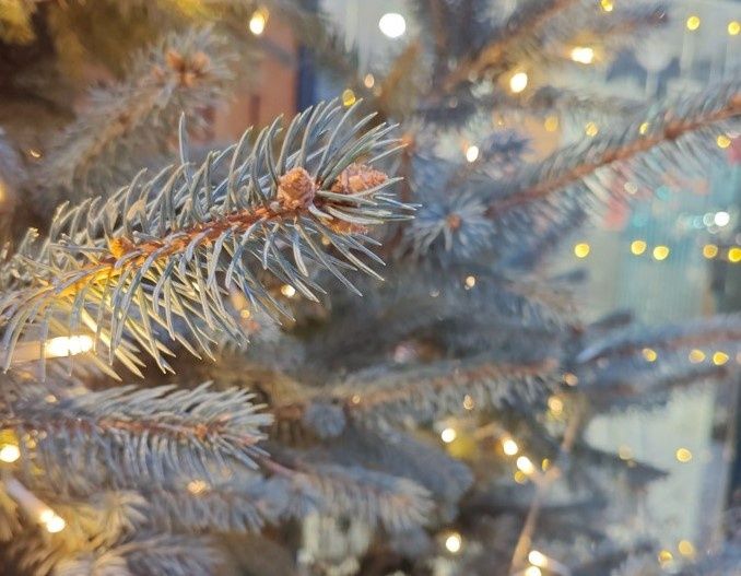 �������������� ������� � ������ ����: ��� ����� ������������?