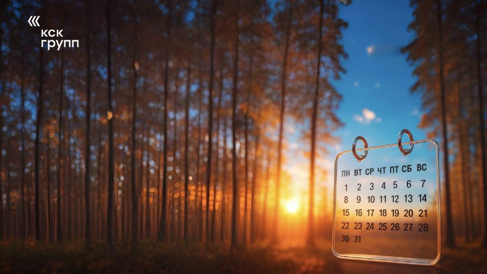 Новые законодательные инициативы в декабре: что ждет бизнес в 2026 году?