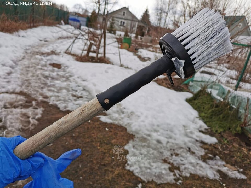 Садовые ошибки осенью: чего избегать