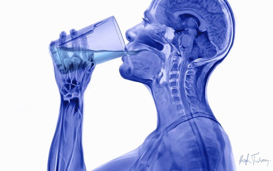 ����: ���� � �������� � ����������, ������� �� ����� ������������