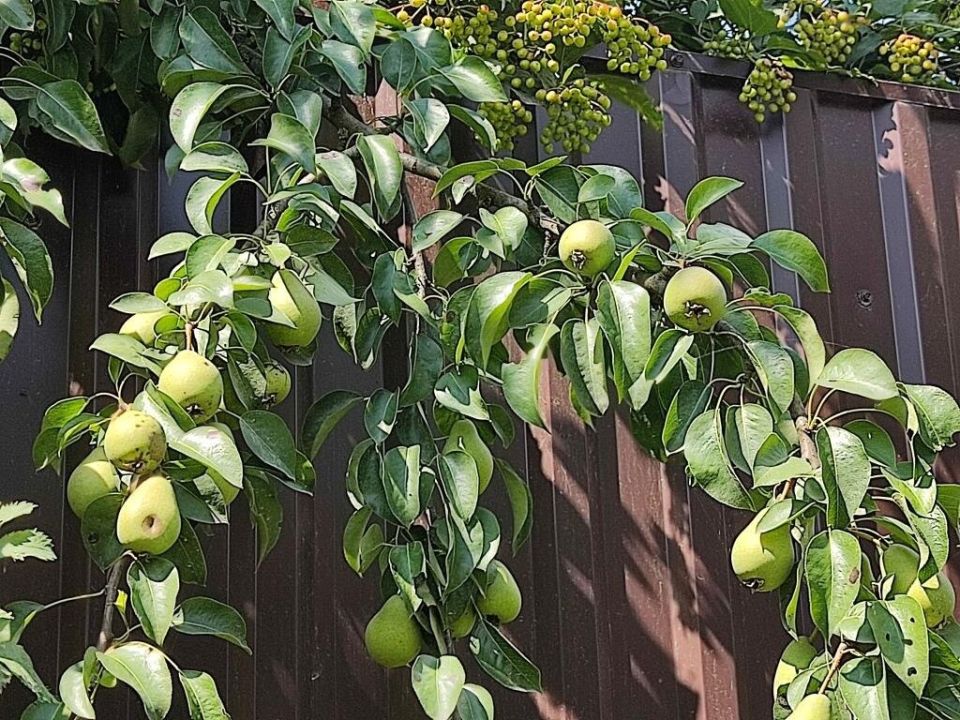 ��������� ������� � �����: ����� �� �������� ����� ����� �����?