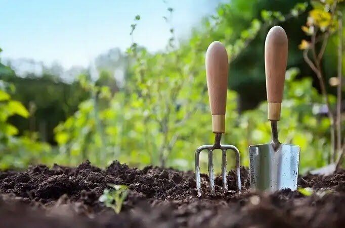 ������ ������������� ������ � ������ ���� ����� �������