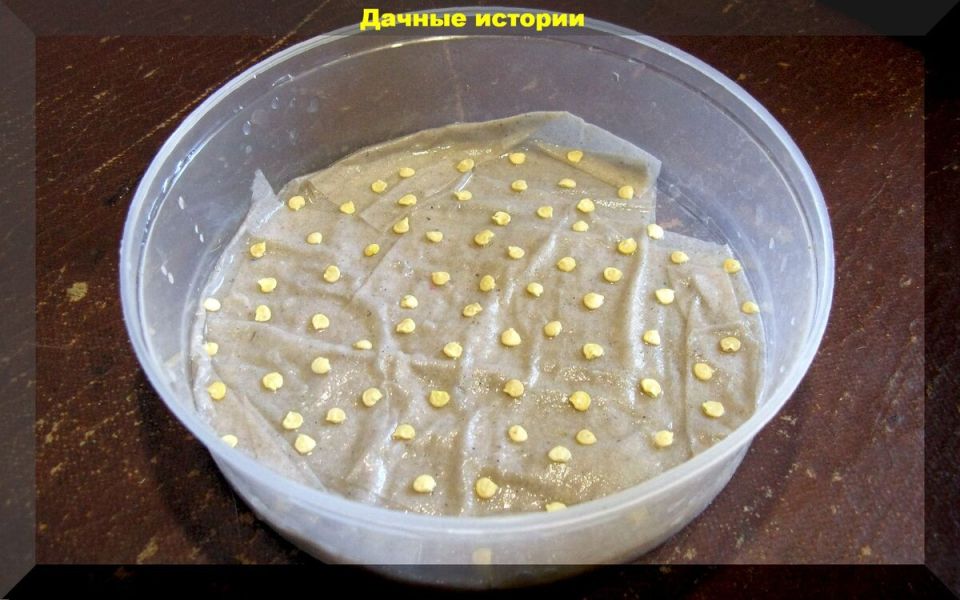 ��� ������� � ����� ������: ������ � �������� ��� ��������� �����������