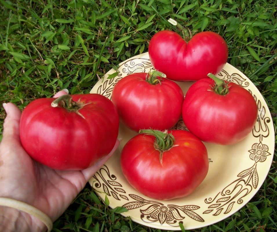 ��������� ����� ������� ��� ��������� ��������