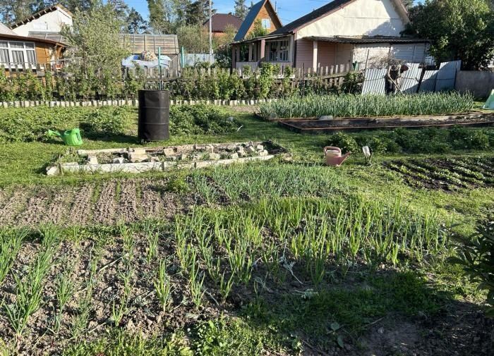 ����� �������� ������: ������ ��� ��������