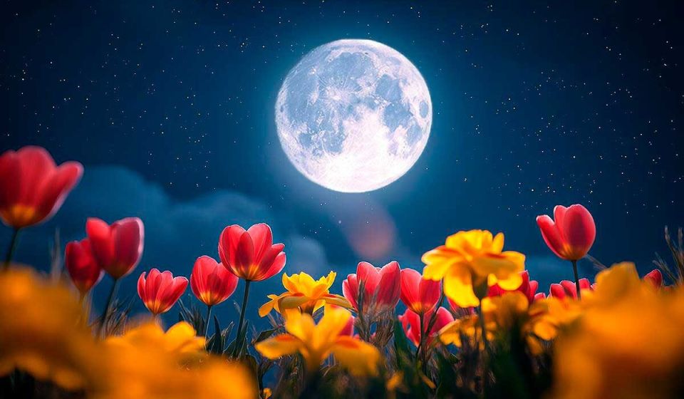 ��������� ���� � ��� 2026: ����� ����������� � ����������� ��������