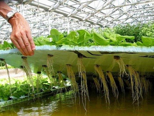 ����� ���������: ��� �������� ����� � ������� � ��������� ����������