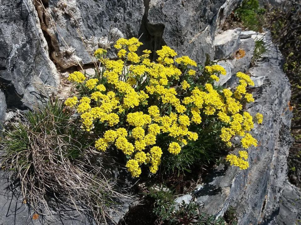 ��� ���������� ������� ������� ���� � �������� ������ � ������� ��������