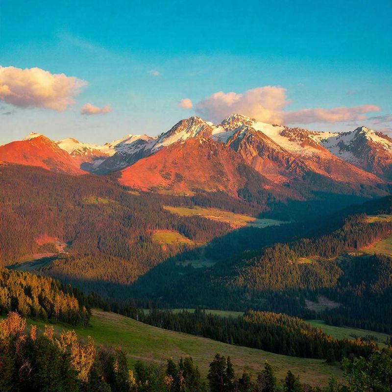 ����������� ����� � �������� ��������������: ��� ������?