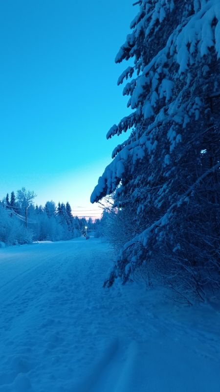 ������� �����������: ��� ������������ ������ �������� ����� � 2026 ����