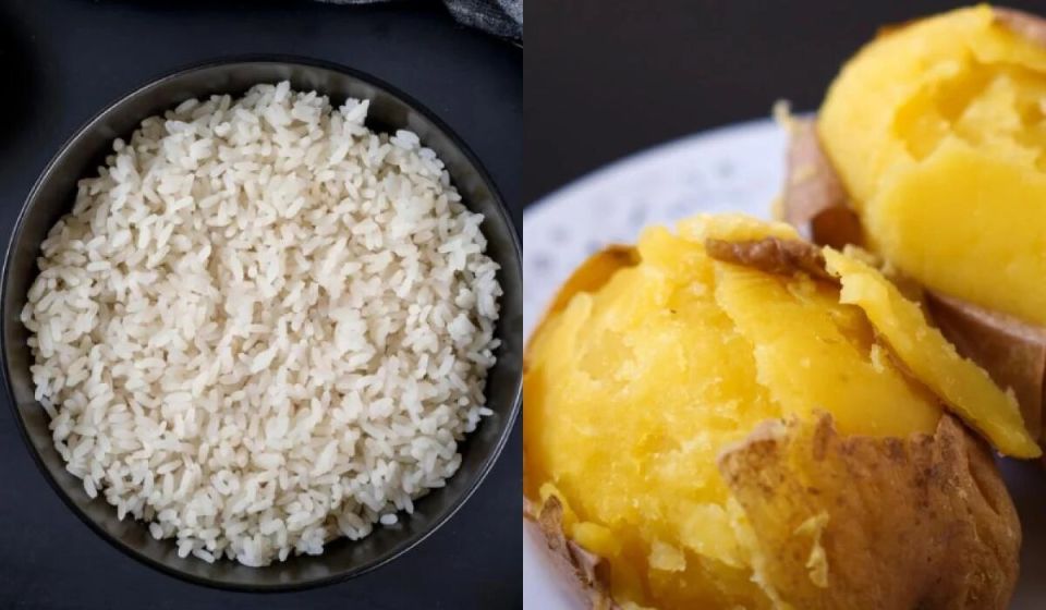 ��������, ������� ������ ����� ������������ �� �������� ���������