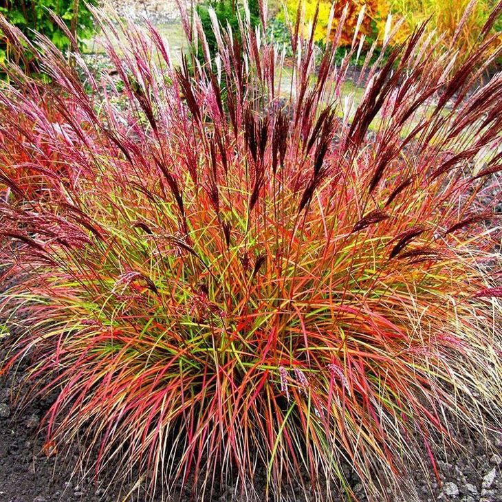 ���������� ������ ����: ���-10 ������� ����������� ������