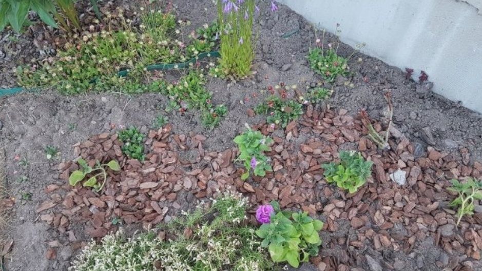 ��� ������ ������ ������: ������ ����������� ��� ����������� �������