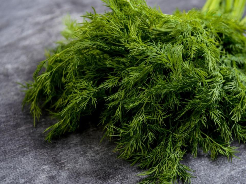 ����������� ������� ��� ����������� ������