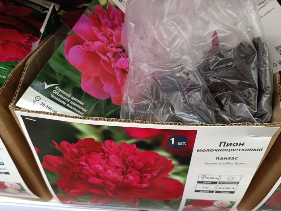 ����� ������: ��� ������ �� ������� � �� ���������