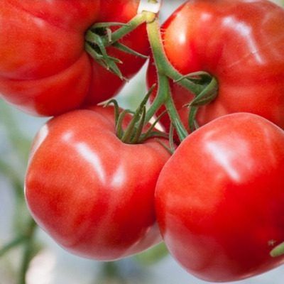 ����� ������: ��������� ������ ��� ������ �������