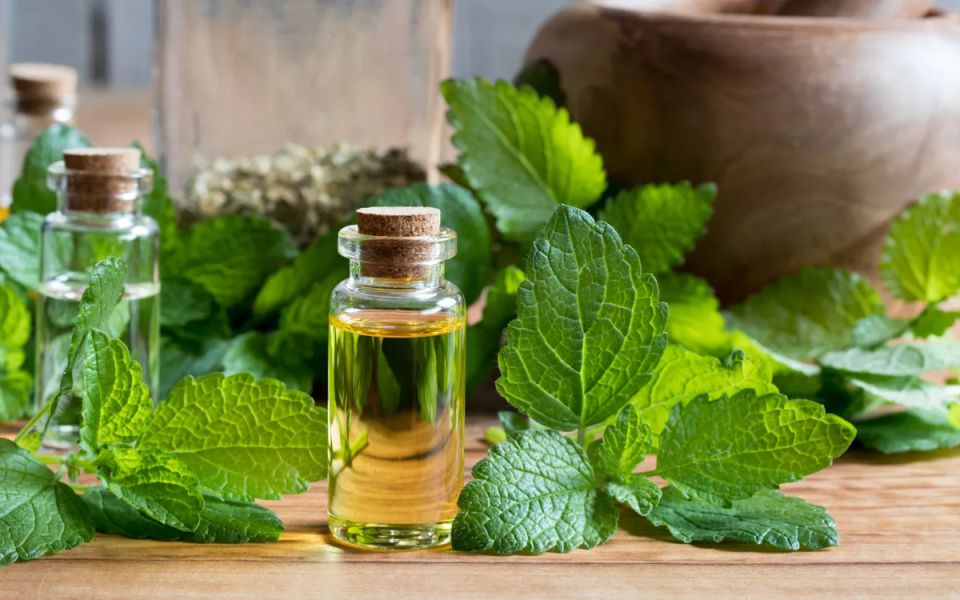 ������� ����� ����: ��� ������������ ��� ��������� �������� � �������� ��������