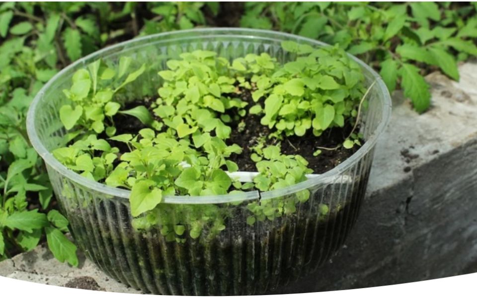 ������ ��������� ��� ���������: ��� ������ � 3 �� 9 �������