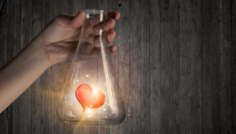 Эти знаки Зодиака найдут новых романтических связей в ближайшее время