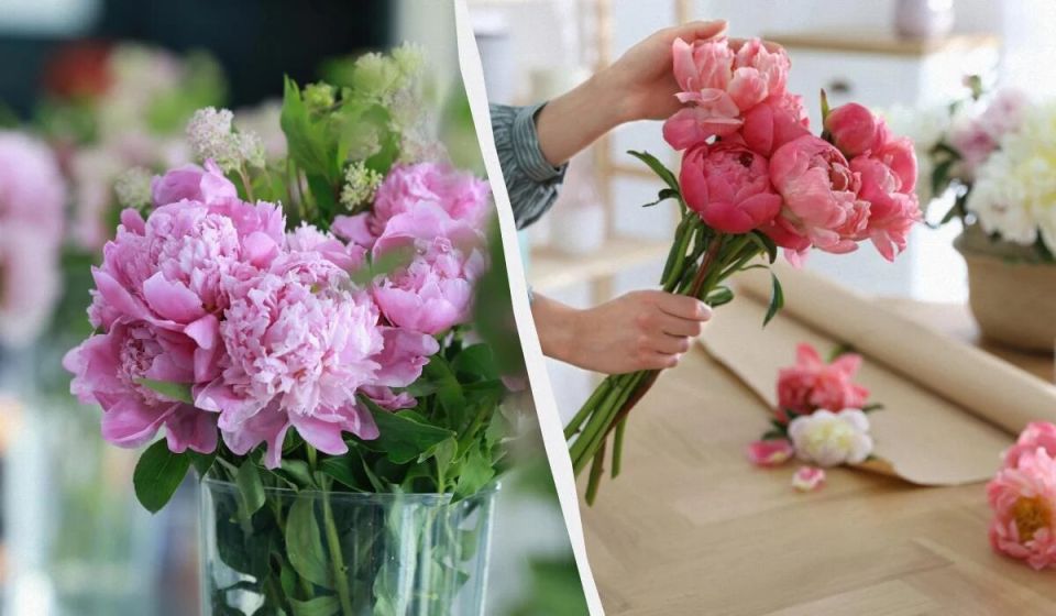 ��� �������� �������� ����� � ����: ������� ������� �� ������ ����