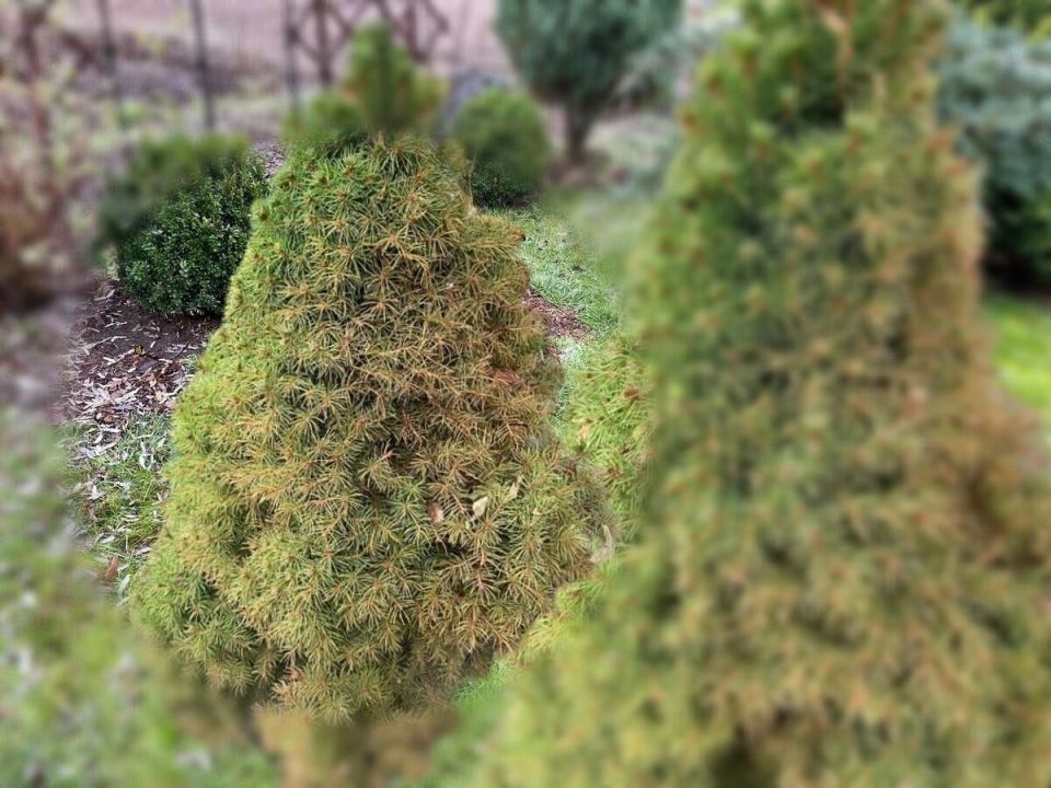 ��� ������ ������ �� ��������� ������ � ������: ������ ���������