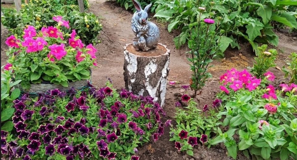 ��������� ����� ��� ���� � ������� ������� �������� � ����