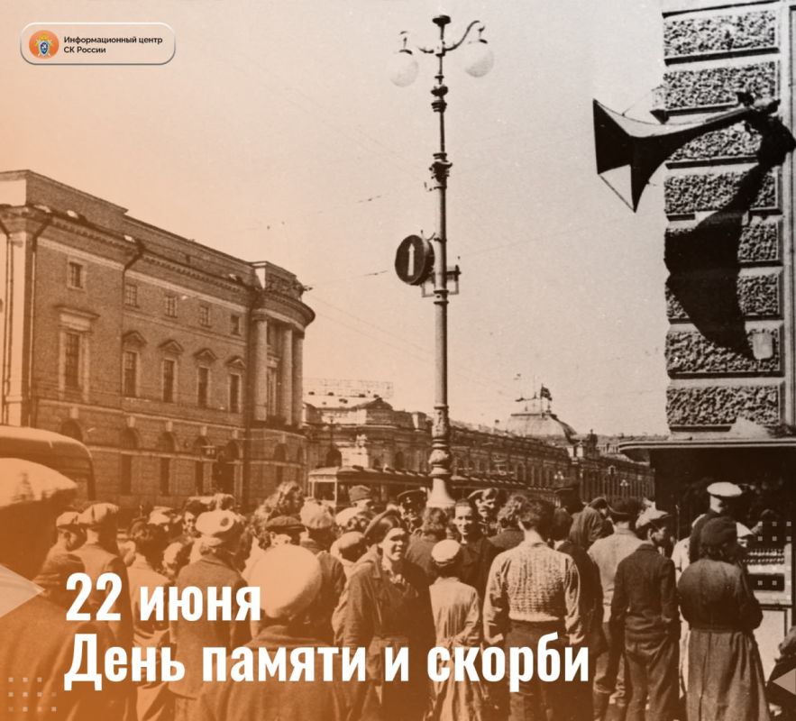 22  -     -     