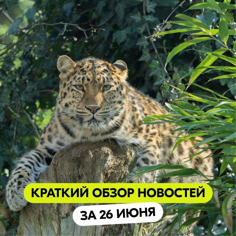  ,   -           ?