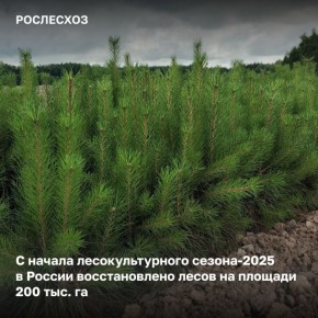 2025        200 