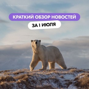  ,    ,     ,    ?