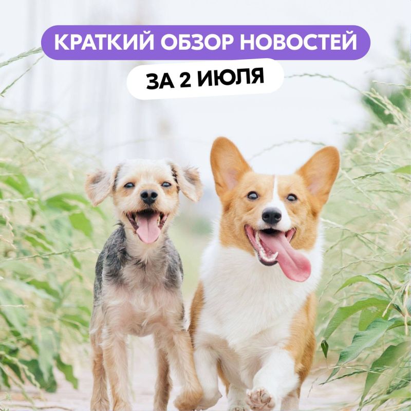  ,    ?