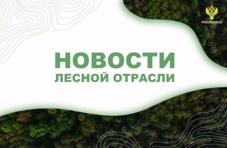 AK&M: :       