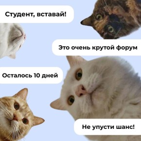  10        -