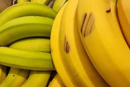 7 проверенных способов сохранить бананы свежими надолго: забудьте про гнилые плоды