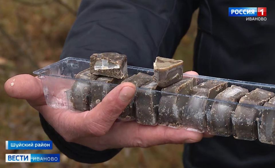 Осенняя вакцинация диких животных стартовала в Ивановской области