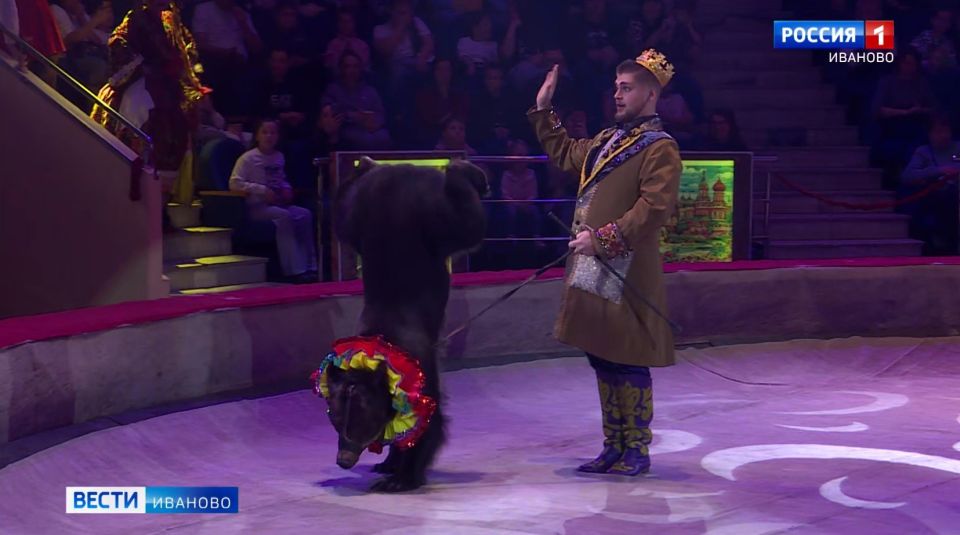 В Ивановском цирке стартовало яркое шоу «Жар-птица»