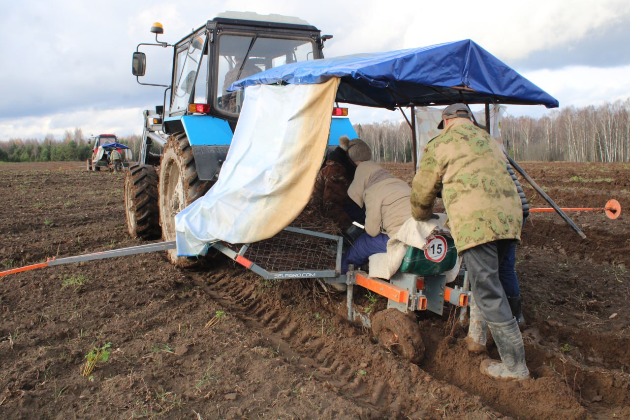 Площадь под многолетними плодово-ягодными культурами в регионе увеличилась в 25 раз Площадь под многолетними плодово-ягодными культурами в регионе увеличилась в 25 раз