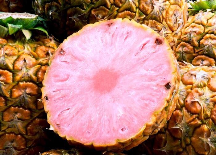 Розовые ананасы на пике популярности
