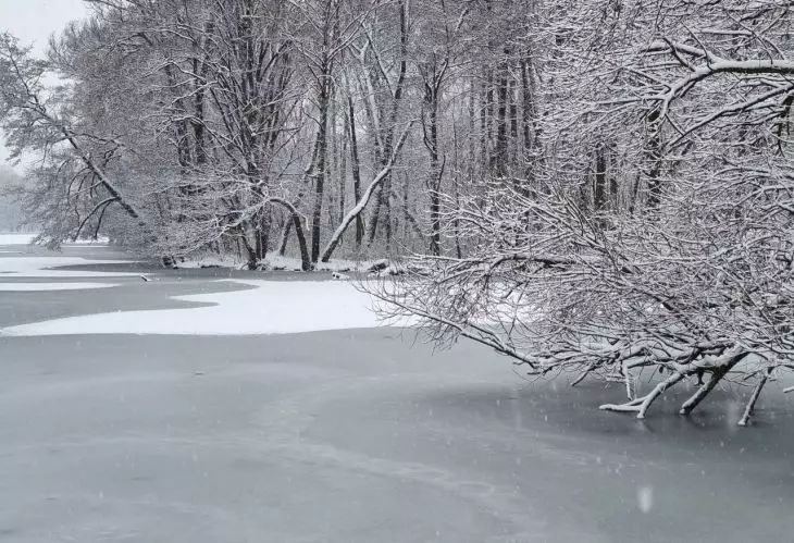 Эксперт по выживанию назвал надежные способы спастись, провалившись под лед