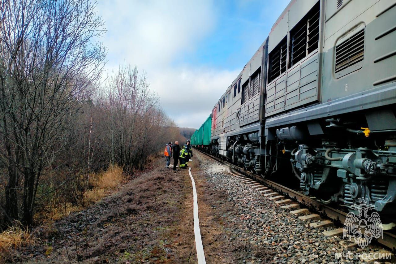 За минувшие сутки пожарно- спасательные подразделения: За минувшие сутки пожарно- спасательные подразделения: