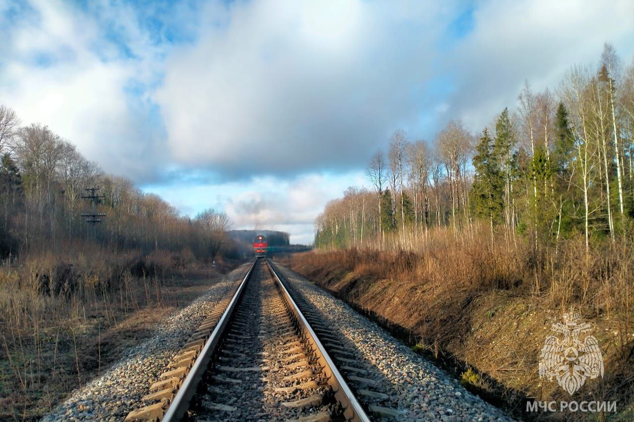 За минувшие сутки пожарно- спасательные подразделения: