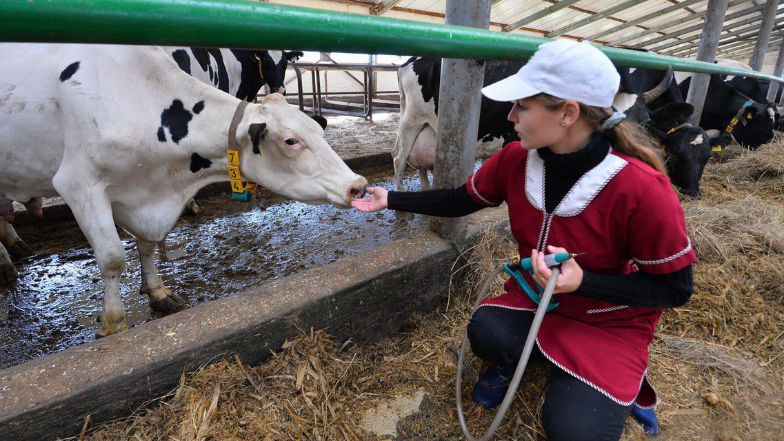 С 2026 года размер единовременной выплаты молодым специалистам при трудоустройстве на предприятия АПК составит 150 тыс