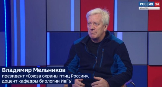 Вести 24 - Интервью В. Мельников