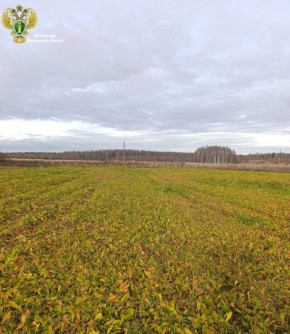 За ненадлежащую организацию исполнения обязательных мероприятий по охране почв юридическое лицо привлечено к административной ответственности